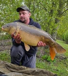 Angler kneeling with a mirror carp on the bank at Alderwood Fishery