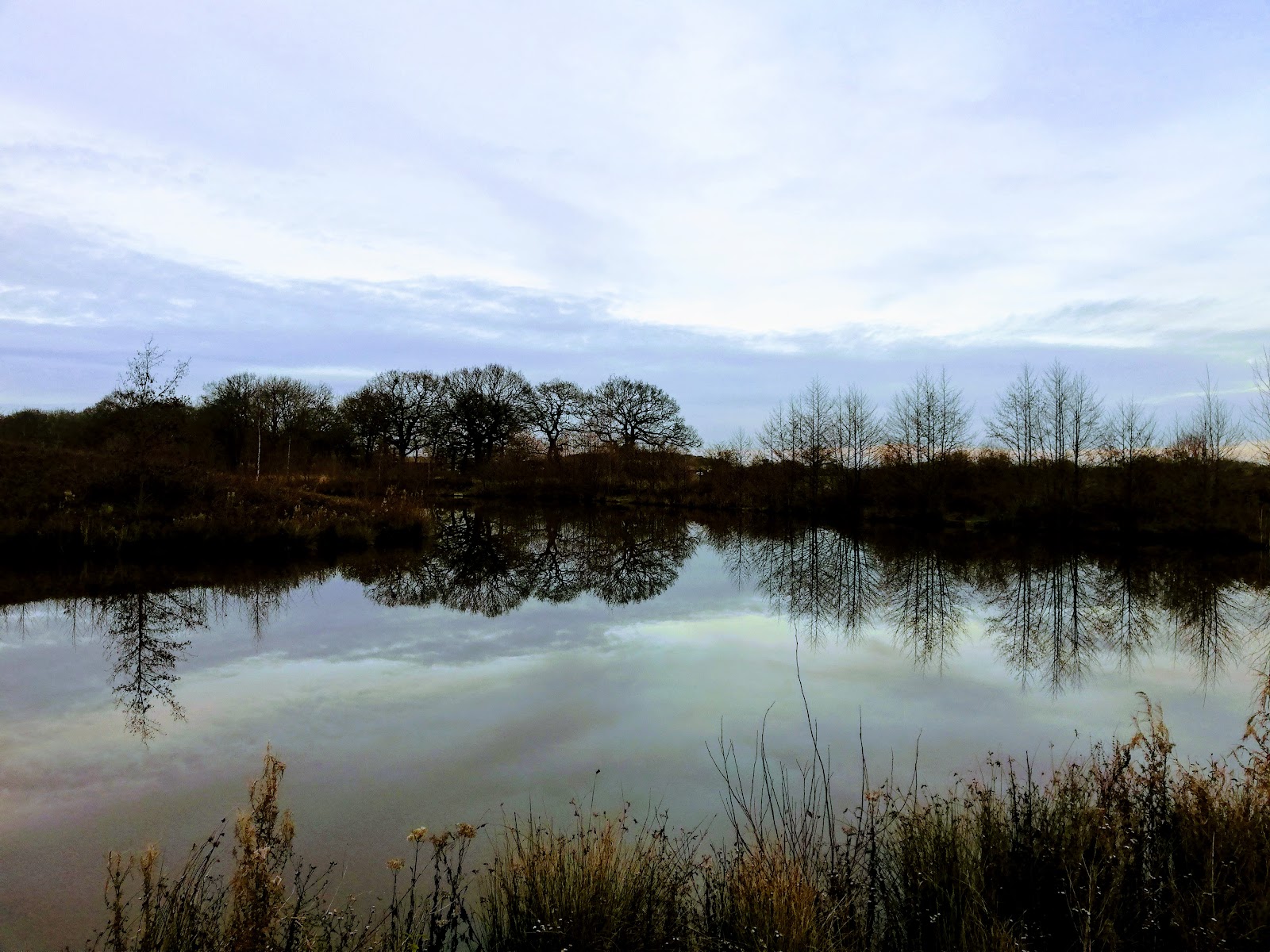 Wide view across Alderwood Fishery lake and surrounding trees