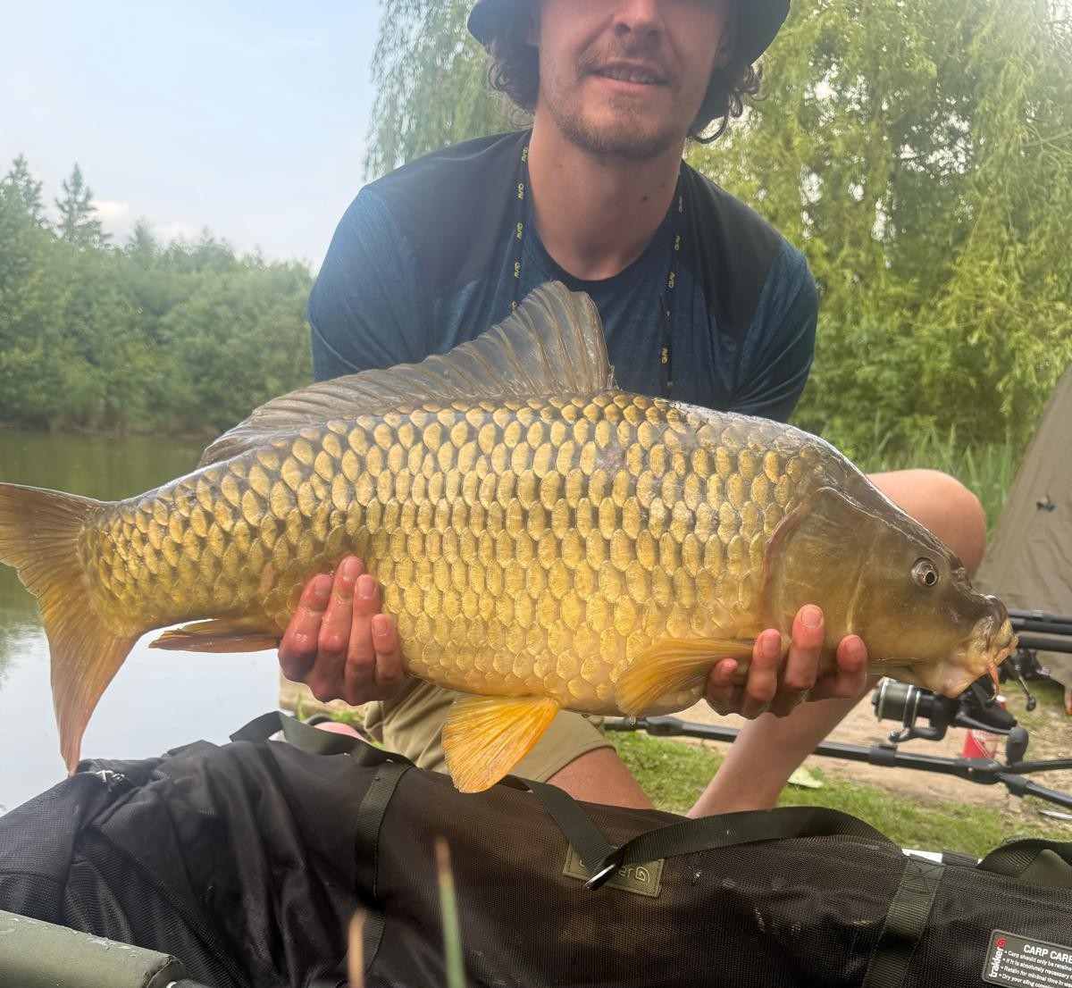 Angler holding a large golden common carp beside Alderwood lake